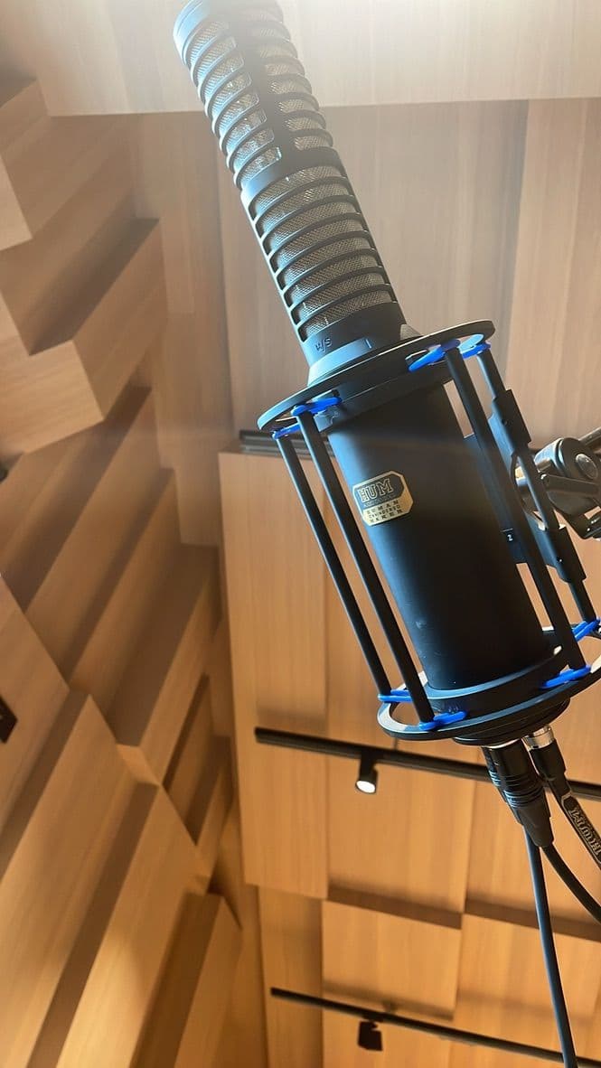HUM Audio RS-2