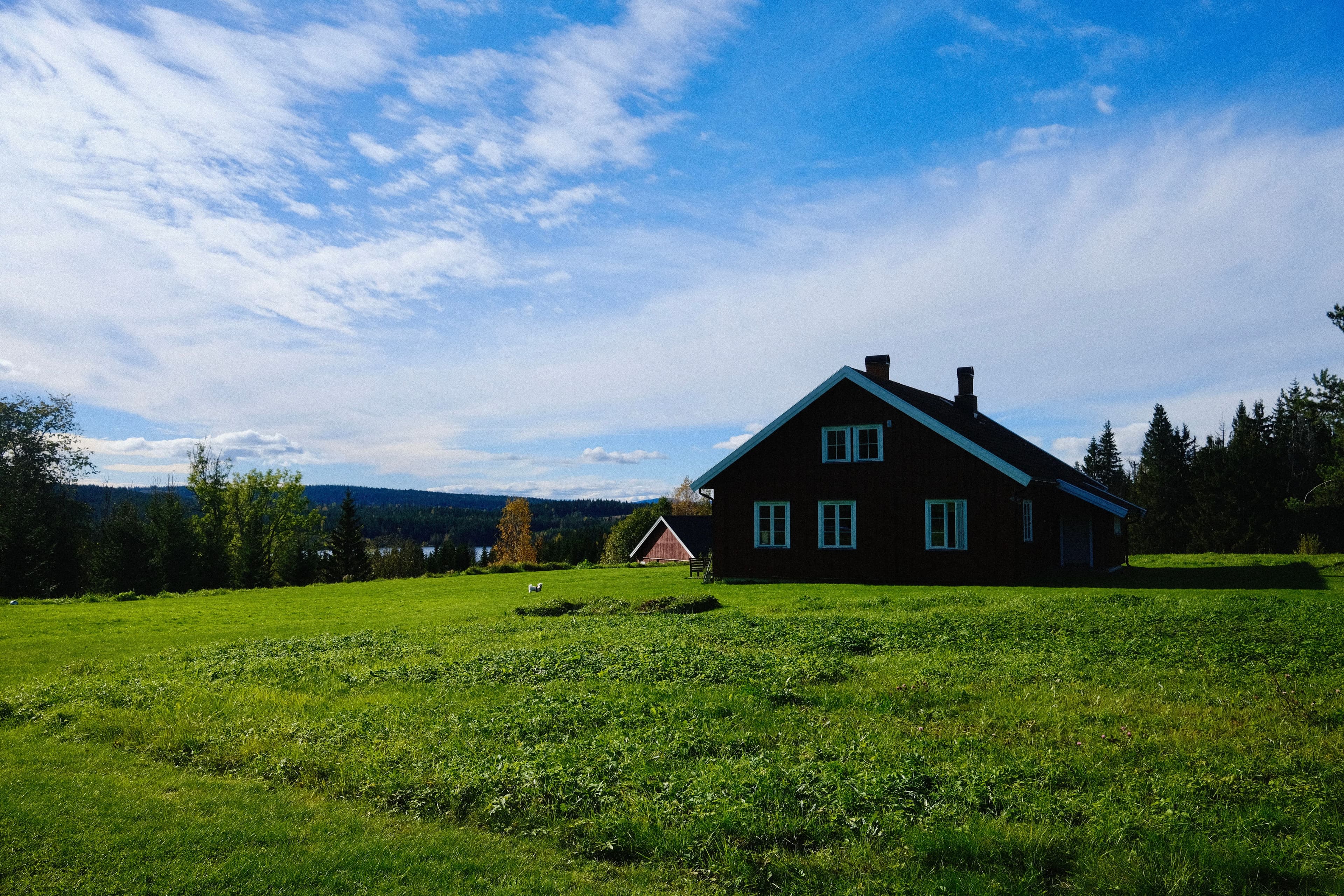 Welcome to Magical Rustan Farm & Studio