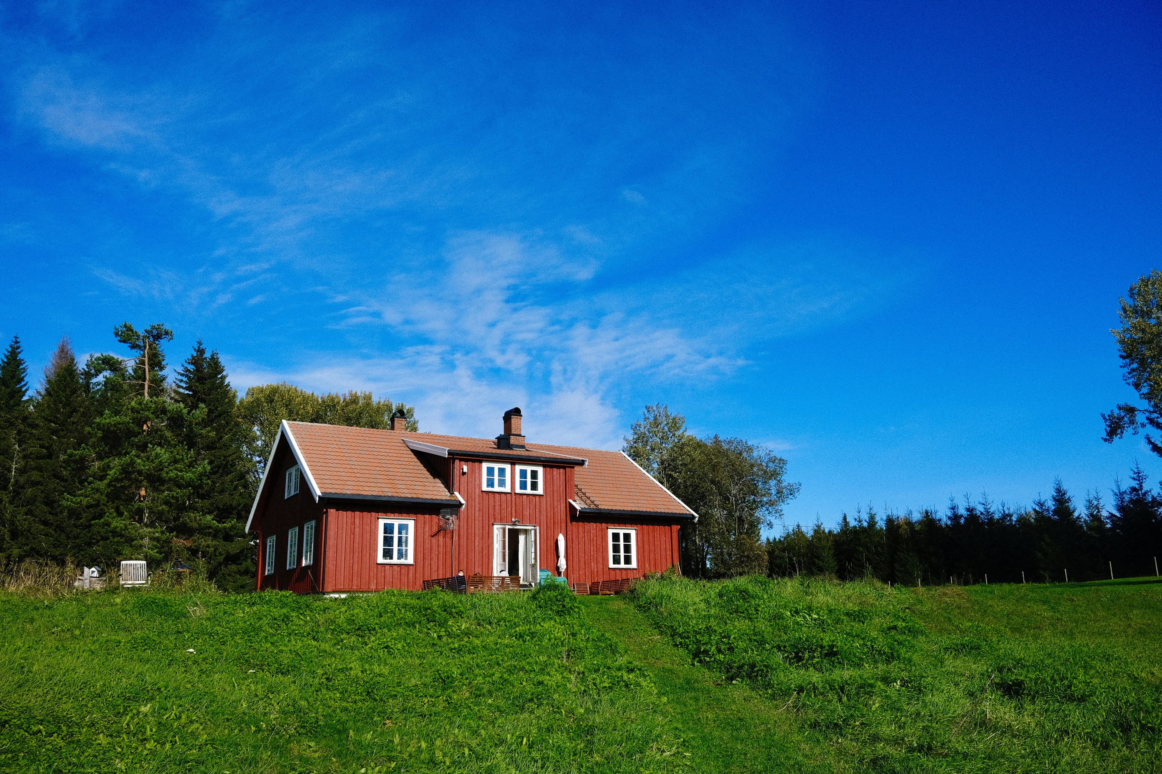 The Farm